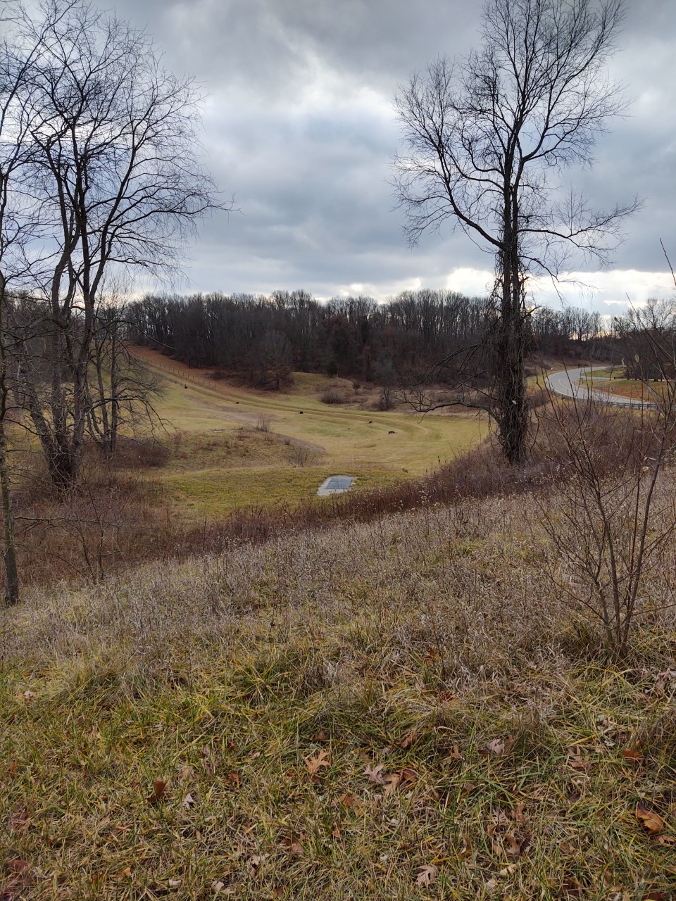 This is the view from the new MPO tee on hole 17